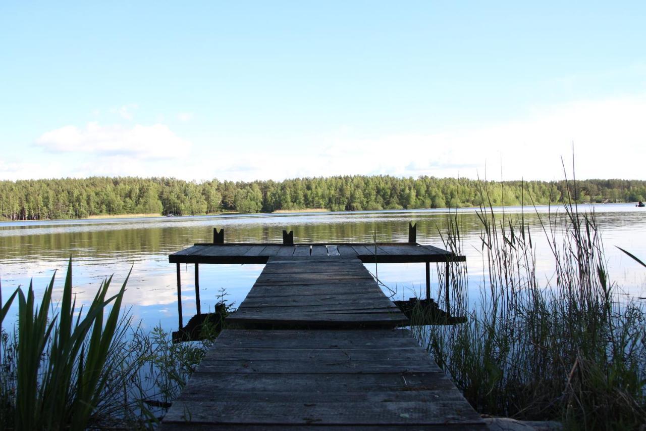 Grygielówka - Dom pod lasem Kamień Zewnętrze zdjęcie