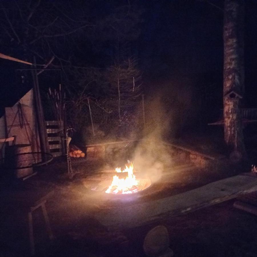 Grygielówka - Dom pod lasem Kamień Zewnętrze zdjęcie
